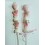 Brocheta de chuches nº 2